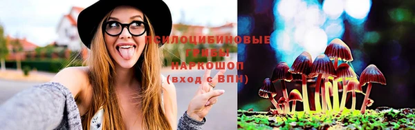 не бодяженный Новодвинск