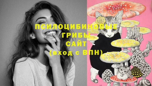 не бодяженный Новодвинск