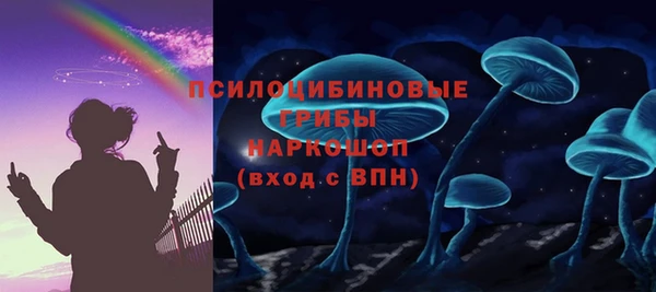 хмурый Новозыбков