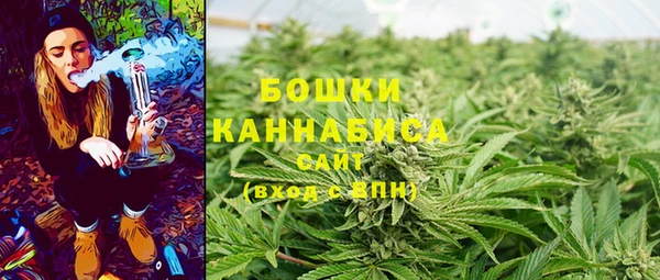 хмурый Новозыбков