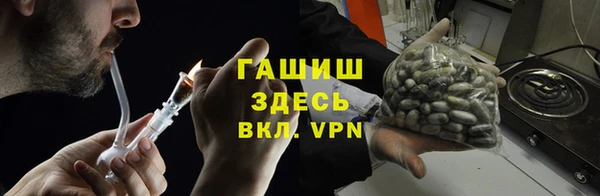 хмурый Новозыбков