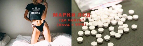 хмурый Новозыбков