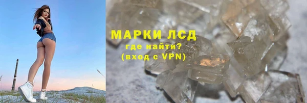 хмурый Новозыбков