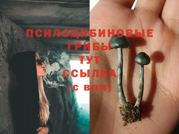 мяу мяу мука Новокубанск