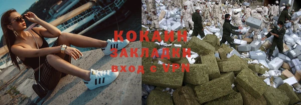 хмурый Новозыбков