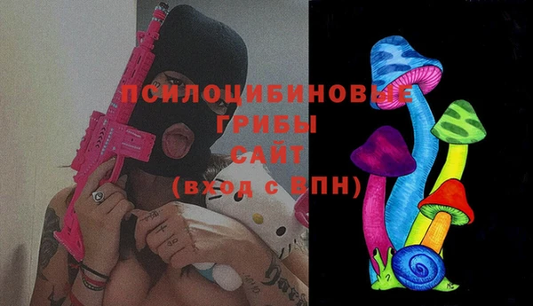 хмурый Новозыбков