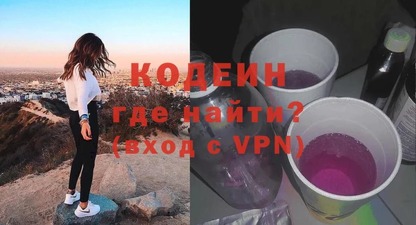 хмурый Новозыбков