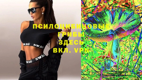 не бодяженный Новодвинск
