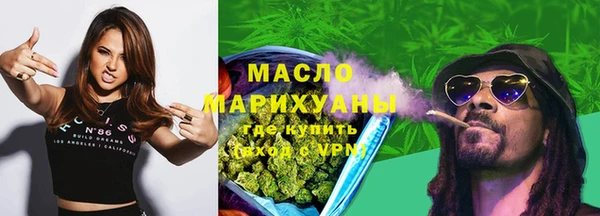 хмурый Новозыбков