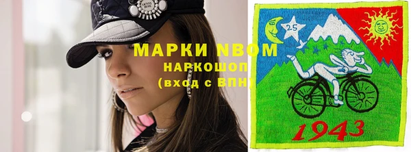 хмурый Новозыбков